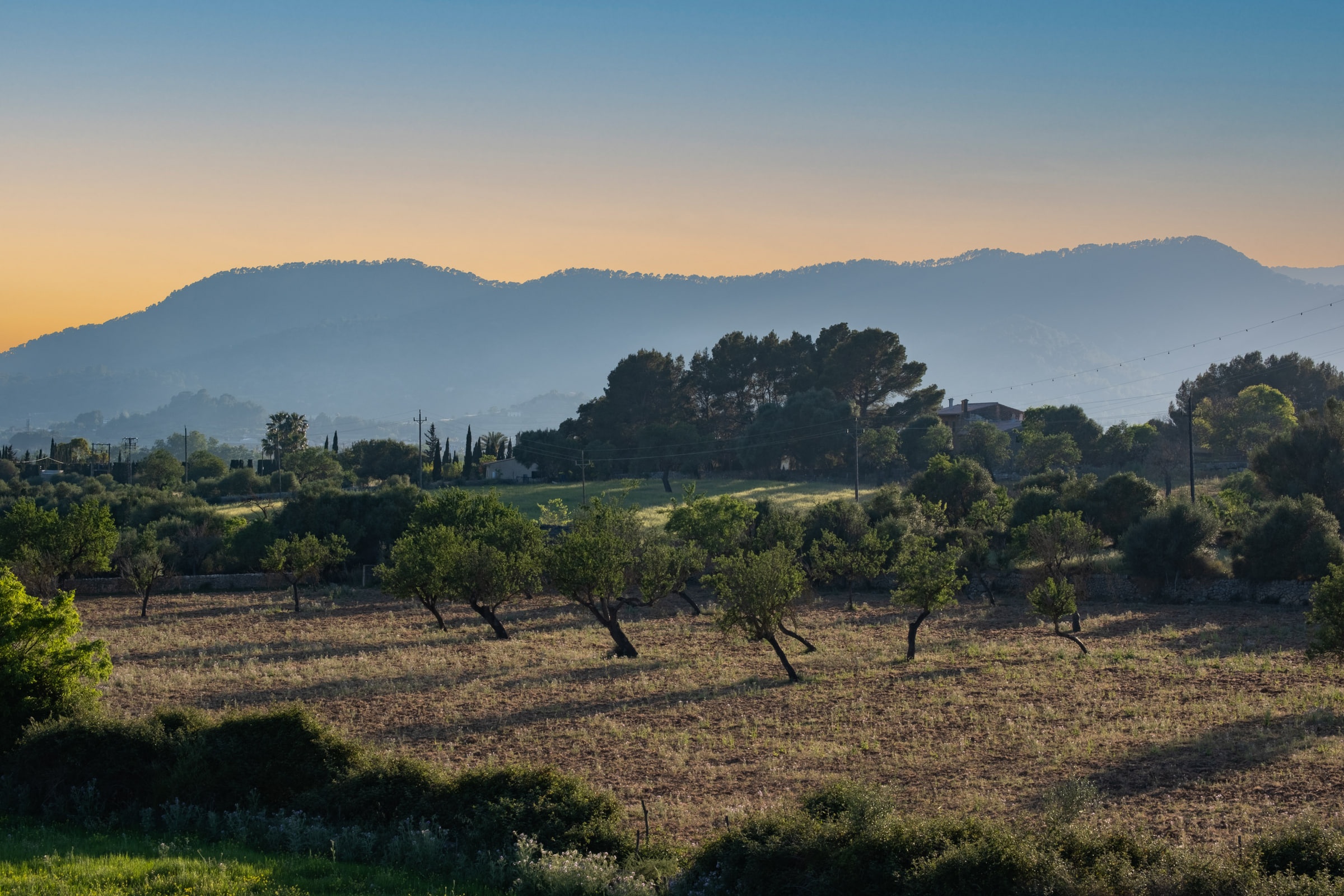 Campos y colinas de Alaró en la última luz del día