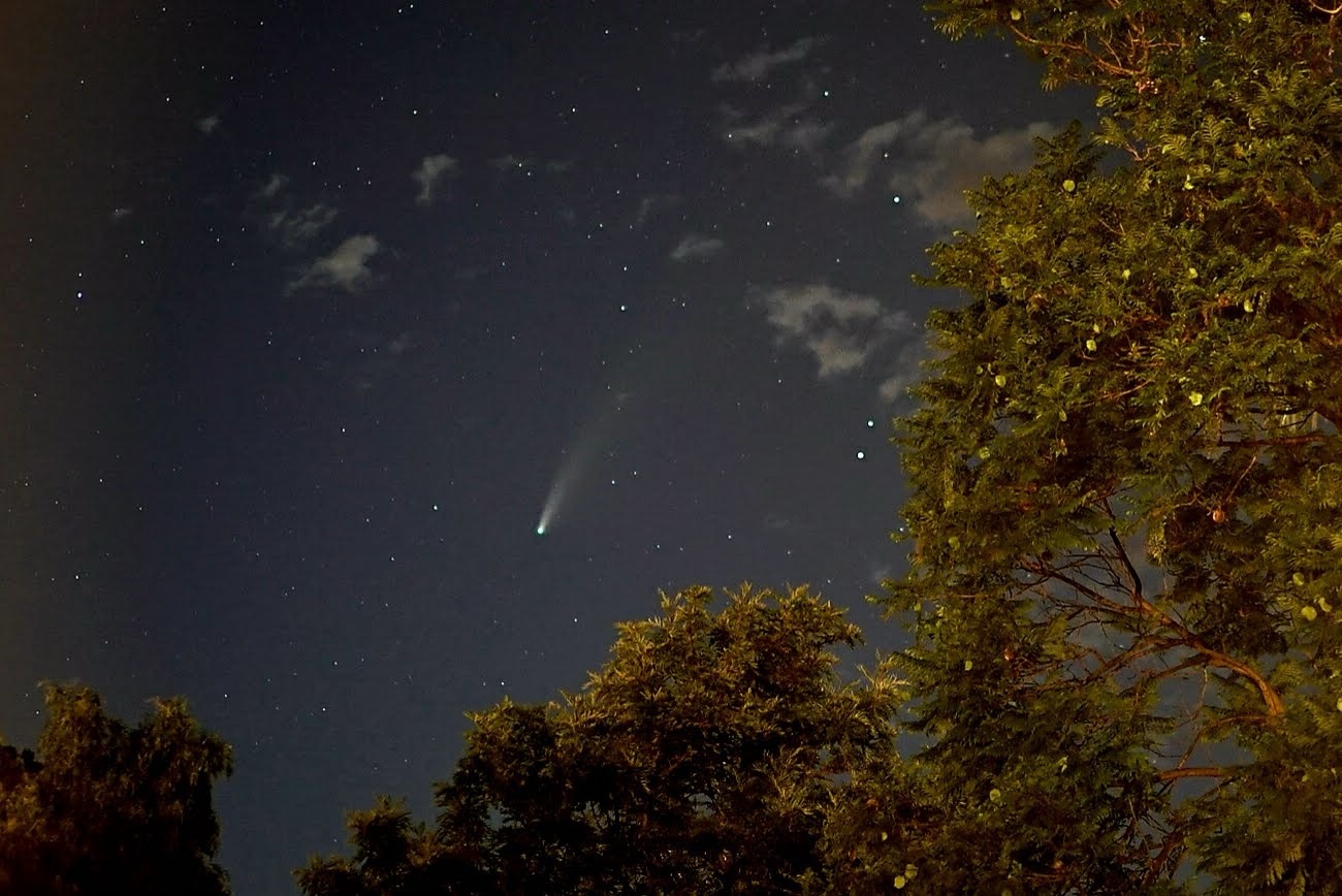 Cometa en un cielo nocturno entre árboles